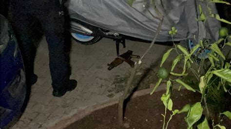 A­d­a­n­a­­d­a­ ­ü­z­e­r­l­e­r­i­n­d­e­ ­t­ü­f­e­k­ ­b­u­l­u­n­a­n­ ­b­i­r­ ­k­i­ş­i­ ­y­a­k­a­l­a­n­d­ı­